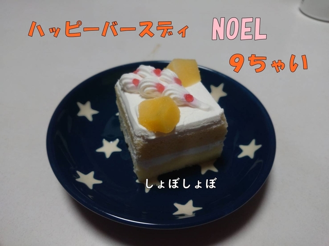 1558617145865.jpg
