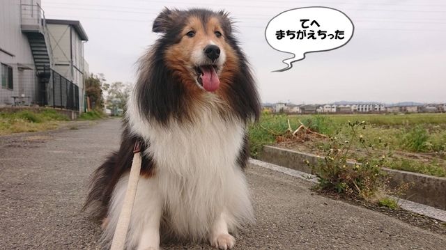 1585608159013.jpg