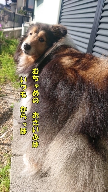 1588948845319.jpg