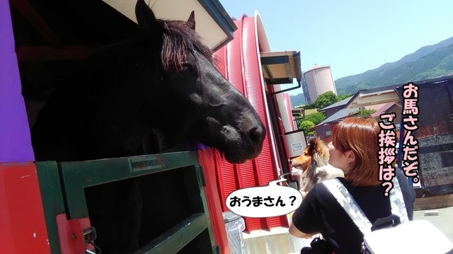 2018-5-25-8.jpg