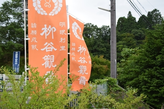DSC_0004.JPG