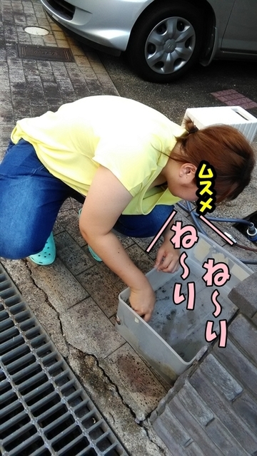 P_20180724_180727.jpg