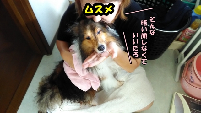 P_20180726_154557.jpg