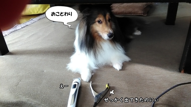 P_20180727_124432.jpg