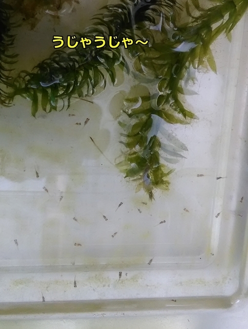 P_20180805_095332.jpg