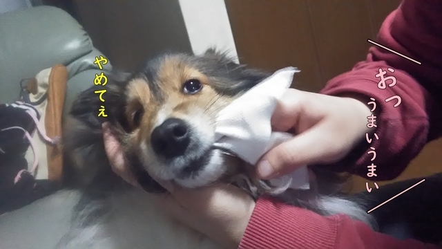 P_20190209_193059.jpg