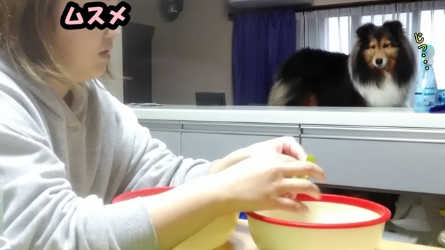 P_20190222_172617.jpg