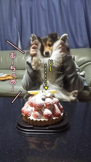 P_20190225_195703.jpg