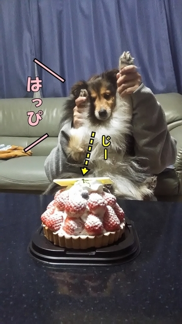 P_20190225_195711.jpg