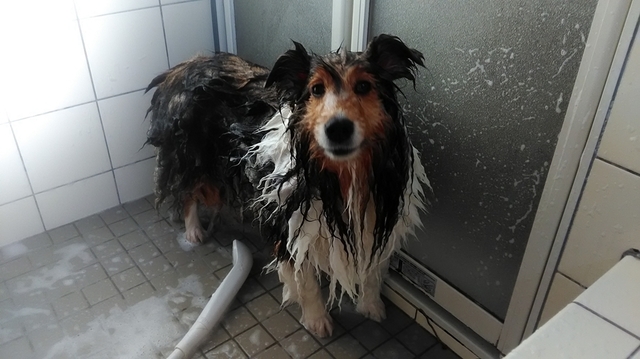 P_20190416_171924.jpg