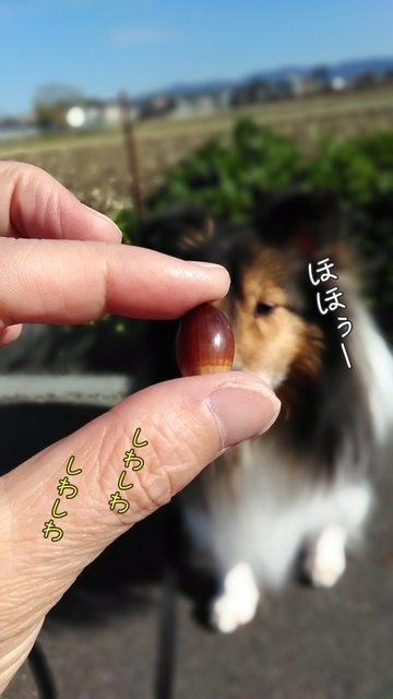 P_20191229_123129_DF.jpg