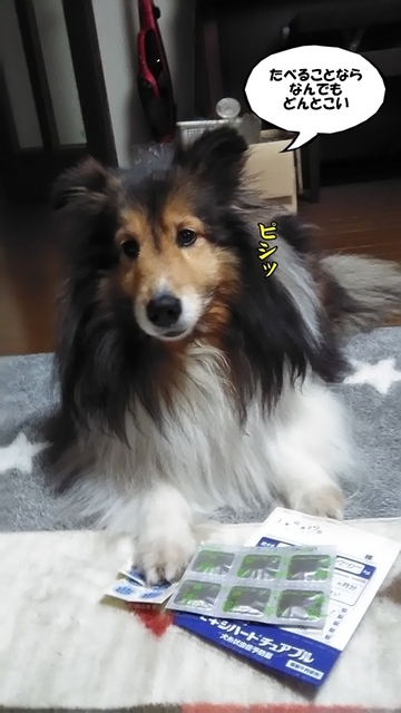 P_20200427_180700.jpg