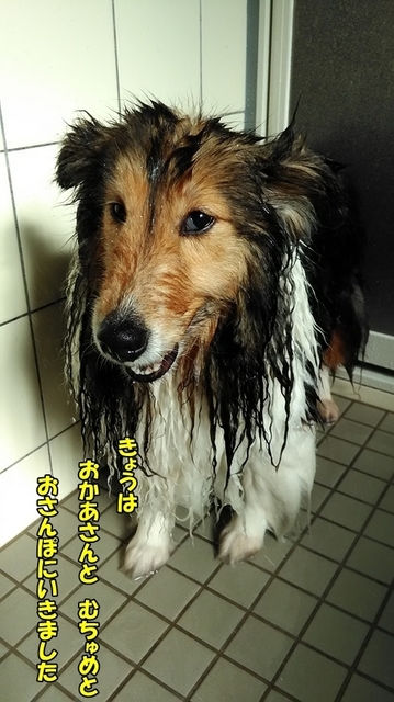 P_20200428_160823.jpg