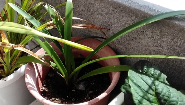 P_20200928_113345.jpg