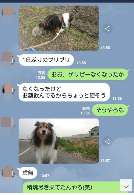 Screenshot_2020-01-18-21-21-10.jpg