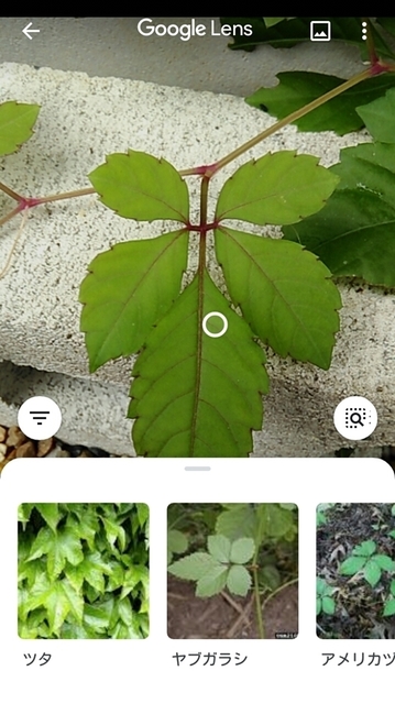 Screenshot_2020-10-23-11-41-40.jpg